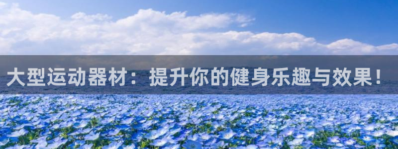 意昂4集团E.ON：大型运动器材：提升你的健身乐趣与
