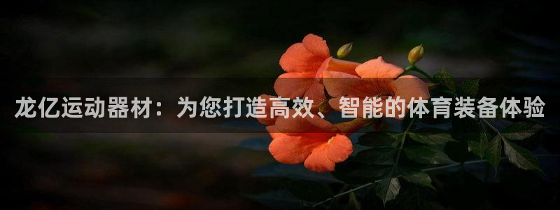 意昂4代理：龙亿运动器材：为您打造高效、智能的体育装