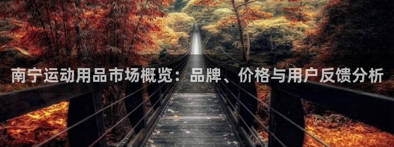 注册意昂4：南宁运动用品市场概览：品牌、价格与用户反