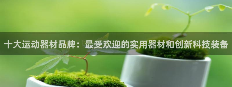 意昂体育4招商电话是多少号码：十大运动器材品牌：最受