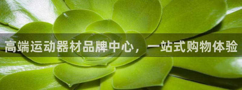 意昂体育4平台注册要钱吗：高端运动器材品牌中心，一站