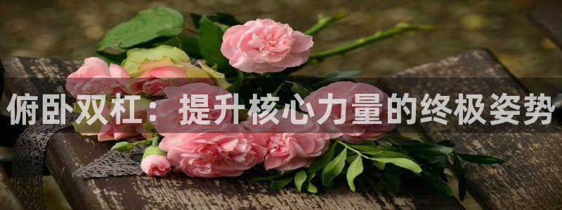 意昂4集团官网网址：俯卧双杠：提升核心力量的终极姿势