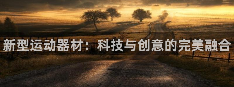 意昂4五金厂：新型运动器材：科技与创意的完美融合