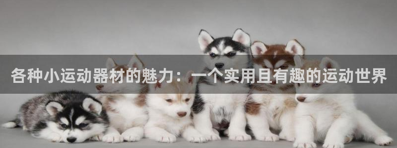 意昂4官方：各种小运动器材的魅力：一个实用且有趣的运