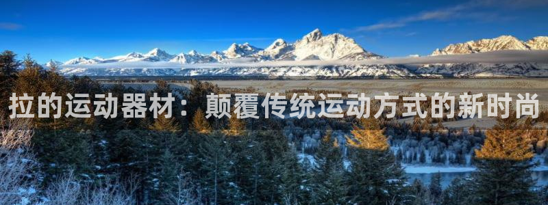 意昂4集团：拉的运动器材：颠覆传统运动方式的新时尚