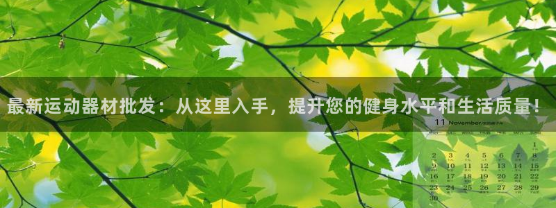 德国意昂4集团：最新运动器材批发：从这里入手，提升您的健身水