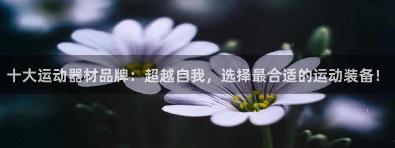 意昂4娱乐首页官网下载：十大运动器材品牌：超越自我，