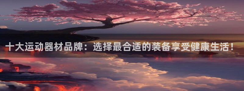 德国意昂4集团：十大运动器材品牌：选择最合适的装备享