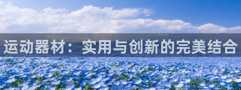 意昂4娱乐：运动器材：实用与创新的完美结合