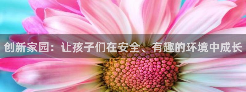 意昂体育4平台：创新家园：让孩子们在安全、有趣的环境