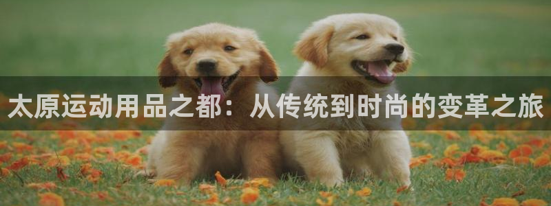 意昂体育4招商：太原运动用品之都：从传统到时尚的变革之旅