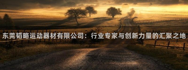 意昂4官方：东莞韬略运动器材有限公司：行业专家与创新力量的汇