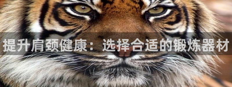 意昂体育4是干嘛的公司