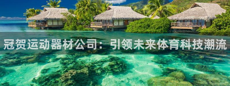 意昂体育4：冠贺运动器材公司：引领未来体育科技潮流