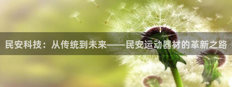 意昂体育4招商电话是多少号码：民安科技：从传统到未来