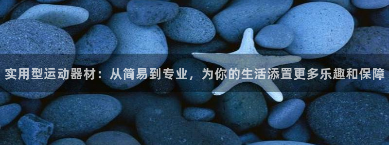 意昂4集团官网首页：实用型运动器材：从简易到专业，为
