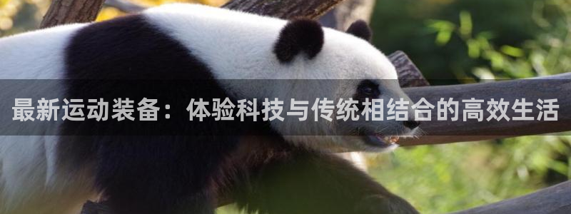 意昂4集团E.ON