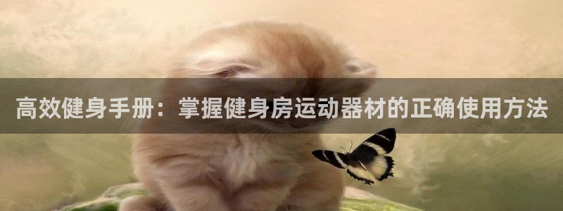 意昂4新能源