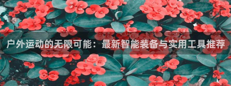 意昂平台体育：户外运动的无限可能：最新智能装备与实用
