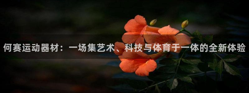 意昂体育4联系电话：何赛运动器材：一场集艺术、科技与体育于一