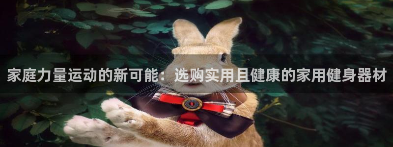 意昂体育4招商电话是多少：家庭力量运动的新可能：选购实用且健