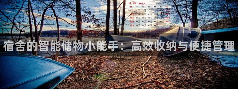 意昂体育4平台是正规平台吗安全吗：宿舍的智能储物小能手：高效