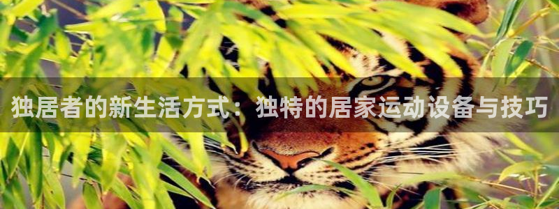 意昂体育4开户：独居者的新生活方式：独特的居家运动设