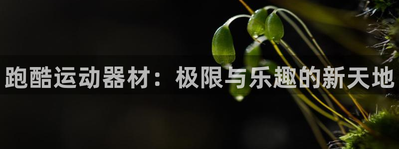 意昂体育4平台假的吗是真的吗：跑酷运动器材：极限与乐
