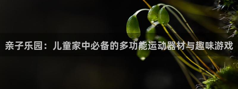 意昂体育4招商电话：亲子乐园：儿童家中必备的多功能运
