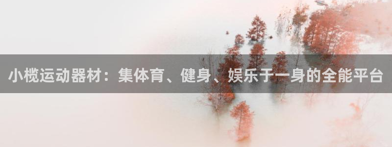 意昂4娱乐平台：小榄运动器材：集体育、健身、娱乐于一
