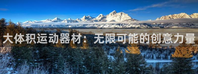 德国意昂4集团：大体积运动器材：无限可能的创意力量