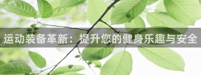 意昂体育4平台注册要钱吗：运动装备革新：提升您的健身乐趣与安