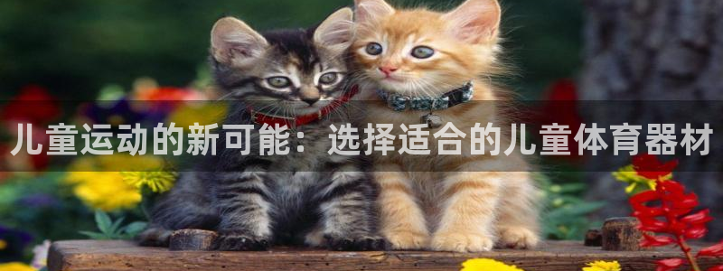 海南意昂体育4：儿童运动的新可能：选择适合的儿童体育器材