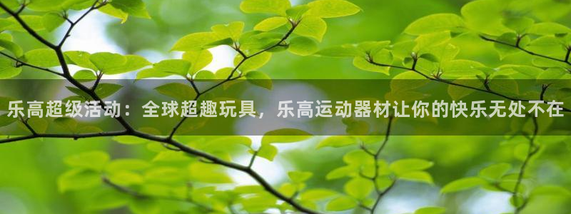 意昂体育4招商电话号码是多少啊：乐高超级活动：全球超