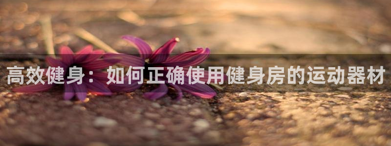 意昂体育4招商电话号码查询：高效健身：如何正确使用健