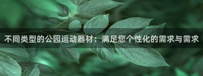 意昂体育4娱乐：不同类型的公园运动器材：满足您个性化