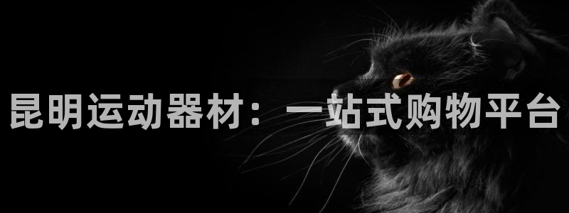 意昂体育4招商电话号码：昆明运动器材：一站式购物平台