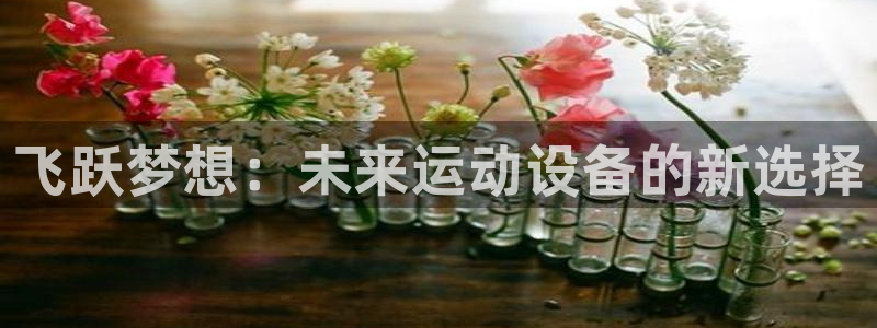 意昂4娱乐40996：飞跃梦想：未来运动设备的新选择
