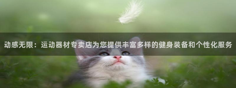 意昂体育4开户：动感无限：运动器材专卖店为您提供丰富
