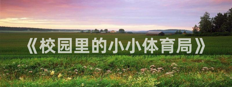 意昂4娱乐下载：《校园里的小小体育局》