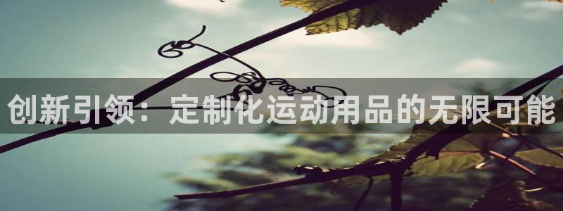 意昂体育4招商电话地址是多少：创新引领：定制化运动用