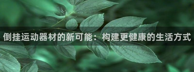 意昂4娱乐是那个系列的台子：倒挂运动器材的新可能：构