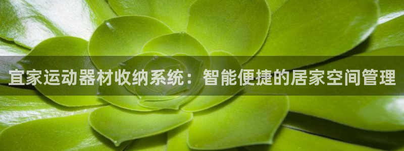 意昂4集团官网首页网址：宜家运动器材收纳系统：智能便