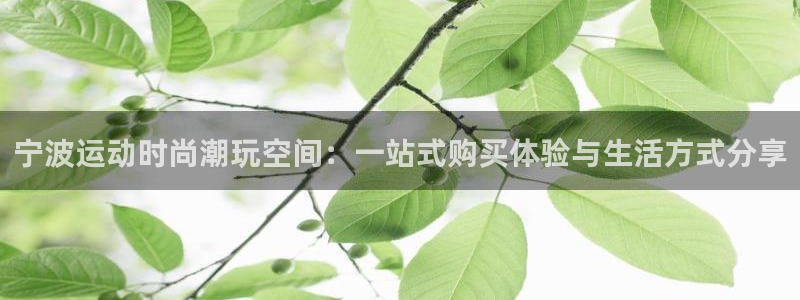 意昂4集团logo：宁波运动时尚潮玩空间：一站式购买