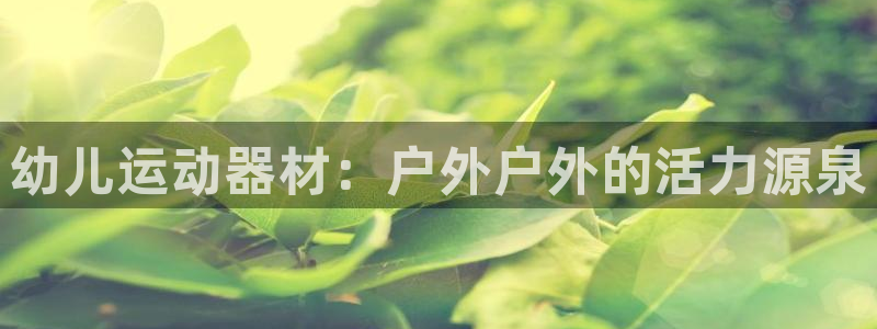 意昂4开户：幼儿运动器材：户外户外的活力源泉