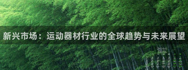 意昂体育4娱乐：新兴市场：运动器材行业的全球趋势与未
