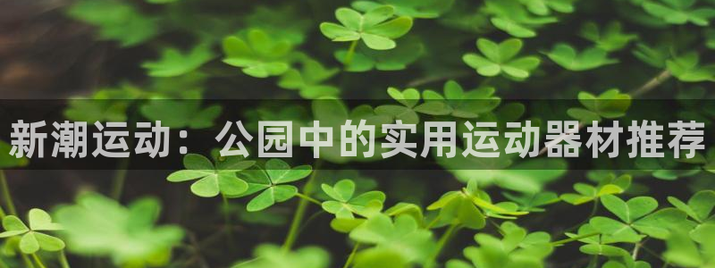意昂体育4平台注册流程视频：新潮运动：公园中的实用运