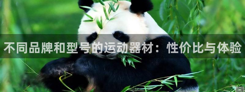 意昂体育4开户