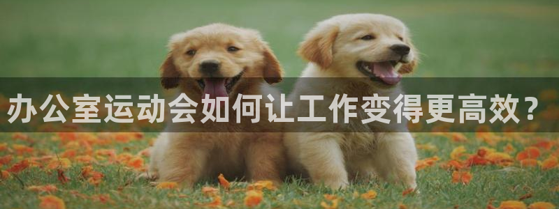 意昂体育4开户：办公室运动会如何让工作变得更高效？