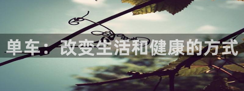 意昂4娱乐首页官网下载
